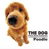 wTHE DOG Photo Book Collection Poodlex 