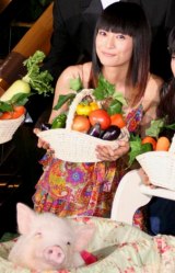 �č�R�E�A�A�C�h���؁g�K�q�h�̕�؂ƈꏏ�ɕ��䂠������