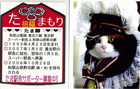 高橋大輔選手 メダル獲得影の立役者は猫の たま駅長 Oricon News