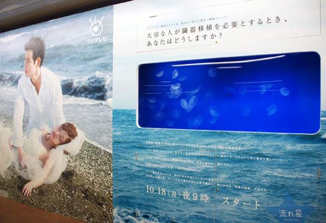フジ 月9ドラマと水族館がコラボ 新宿駅に本物の ミズクラゲ水槽 が出現 Oricon News