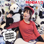 316ɔzM\PANDA 1/2̐VȁuPANDA! PANDA! PANDA!v 