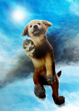 ���c�a���A�w���傤�̂�񂱁x�f����̂��������낵