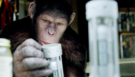 猿の惑星 創世記 ジェネシス 起源の猿 画像公開 ライフ関連ニュース オリコン顧客満足度ランキング