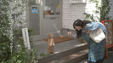 富士通『FMV』の新CMで二足立ち猫「こまちゃん」と共演する柴咲コウ　