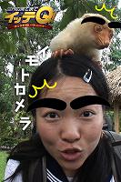 �g���b�n���^�[�C���g�h���J�����A�v���w�C���g�J�����x�œo��