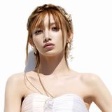 �S�}�L�A�����x�~�O�Ō�̐V�씭��&�P�ƌ�������