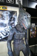 �t�A�����{�f��uSUSHI TYPHOON�v�����{�㗤�@�����E����ňꋓ4��i�������J