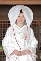 �đq���q�A���g���̔����C�p��I �w�i�T�P�̏��x��SP�h���}�ŕ���