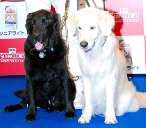 画像 写真 ペットは飼い主に似る 津川雅彦の愛犬 ローラに 舌 を出し さすがだね 2枚目 Oricon News