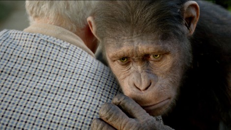 猿の支配が続く映画動員ランキング　『猿の惑星：創世記』〜涙を誘うワンシーン　(C) 2011 TWENTIETH CENTURY FOX 