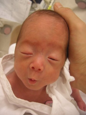 2011年11月に誕生したザブングル・加藤歩の第1子の男児 