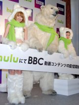 �wHulu�~BBC�R���e���c�x�z�M�L�O�C�x���g�ɏo�Ȃ����얾�ށ��q���̓n粂��̂� 