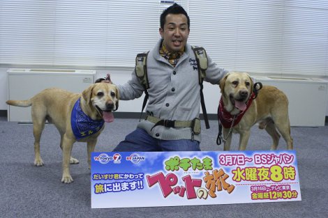 旅犬 だいすけ君の後継犬 エルフとラブがお披露目 Oricon News