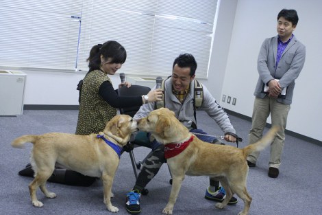 画像 写真 旅犬 だいすけ君の後継犬 エルフとラブがお披露目 2枚目 Oricon News