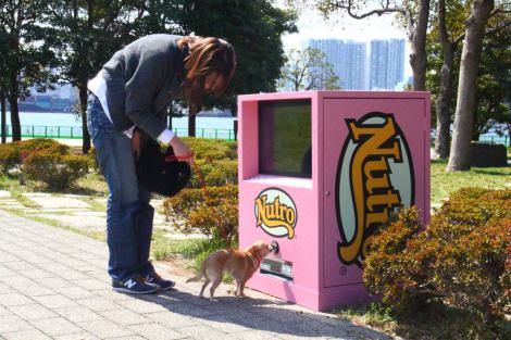 小型犬用ドッグフード自販機 ららぽーと豊洲に登場 Oricon News