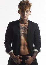 Dalmatian�A�V�����o�[�T�C�����d�����J 