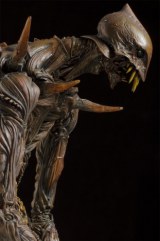 ���B�w���_���x�g���ʉ�h��1���l���v! 3���Ԃ�100���f���� 