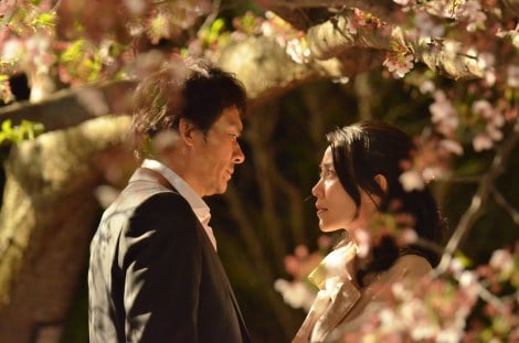 木村佳乃主演『はつ恋』、最終回視聴率11.9％で『セカンドバージン 