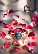 �w���E�������F�C���[�Y ���f�����x�A���t�H�[�����h�ɐ��E���̊��Ԍ���V���b�v���I�[�v�� 