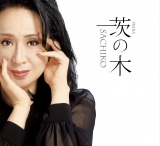 �V�ȁu��̖؁v 