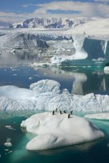北極・南極の大自然『フローズン プラネット』BBCオリジナル版が上陸 | ORICON NEWS