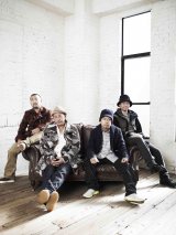 �P�c���C�V�A�V�Ȃ��ɓ��p�����������W�剉�h���}ED�Ȃ� 