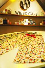 ���j�N���w�����R�x��SHIBUYA TSUTAYA���gGW�̉߂������h���� 