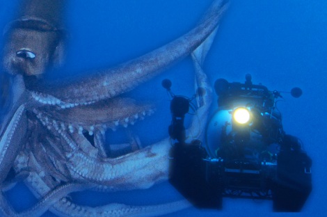 画像 写真 ダイオウイカ再び シリーズ深海の巨大生物 7月に2夜連続放送 1枚目 Oricon News