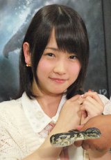 AKB��h�A�o�J�Z���^�[�Œ��ړx�㏸���u�R���낤��!�v 