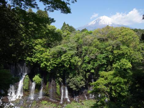 世界遺産・富士山 水をめぐる神秘に迫る『NHKスペシャル』6・30放送 | ORICON NEWS