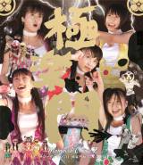 �y�I���R���z�����N���ABD���ő�4�쓯��TOP10 