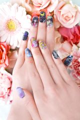 �w��������m�Z�[���[���[���x���L�����l�C���V���[�Y�ɓo��I 