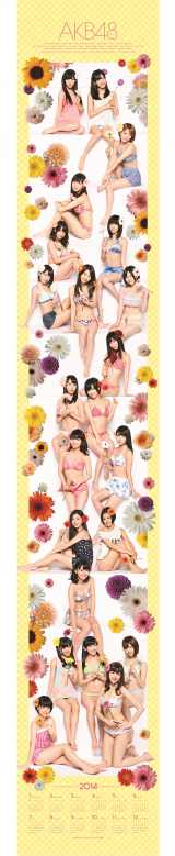 画像 写真 Akb人気カレンダーの特典公開 180cmの 水着 巻物カレンダー 1枚目 Oricon News