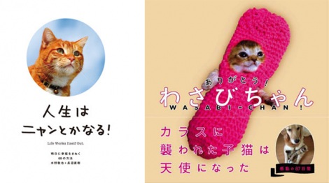 オリコン】猫関連書籍が好調！ 「わさびちゃん」は初TOP10入り