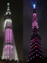 ������[���u�s���N���{���v �����́g���^���[�h�����z�I�ȃs���N�F�� 