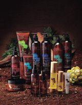 ���{���̃I�[�K�j�b�N�A���K���I�C�����X �L�y���ɃI�[�v�� 