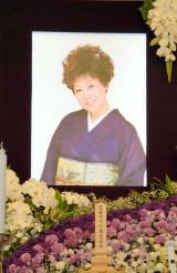 ���q���q����A���V�ōŌ�̓����Ɖ̐��u�f���炵�����Ԃ����肪�Ƃ��v 