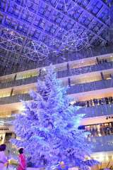 ����ɋP���c���[�o�� KITTE���߂ẴN���X�}�X�C���~�l�[�V���� 