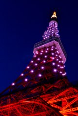 桜色にライトアップした東京タワーで、受験生にエールを送る。　（C）oricon ME inc. 