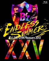 Bfz̍ŐVCuBDwBfz LIVE-GYM Pleasure 2013 ENDLESS SUMMER -XXV BEST-xō̏Tő1 