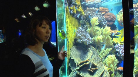 これが世界の水族館だ！ 小谷実可子が絶叫レポート | ORICON NEWS