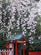 ����? �^�����g? 2014�N�ɗ���g�����n�u�[���h�́c�c 