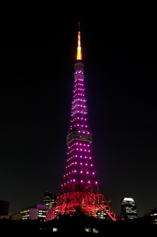 25A̍̊JԂLOčs铌^[́uJԃsN_ChF[viC[Wj@(C)TOKYO TOWER 