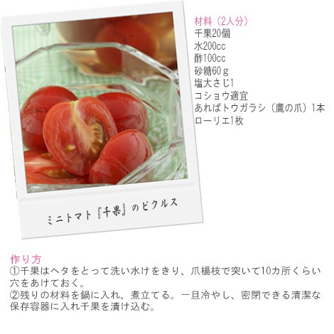タキイ種苗が提案するトマト料理「ミニトマト『千果』のピクルス」レシピ 