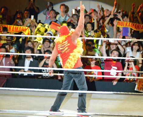 WWE ハルクホーガン ハルカマシーン マスク付き WWE JAKKS CLASSIC SUPER STARS ハルク・ホーガン - メルカリ