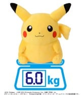 �|�P�����j�㏉�g���A�����g��h�s�J�`���E�ABEAMS�ŃQ�b�g����! 