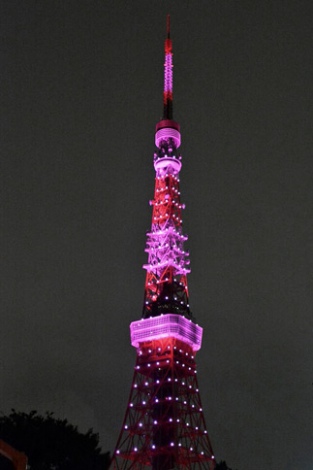 東京タワー 都庁などがピンク色に ピンクリボン イルミネーション各地で Oricon News