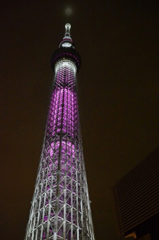 画像 写真 東京タワー 都庁などがピンク色に ピンクリボン イルミネーション各地で 3枚目 Oricon News