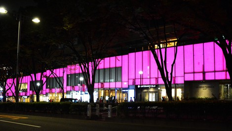 画像 写真 東京タワー 都庁などがピンク色に ピンクリボン イルミネーション各地で 5枚目 Oricon News