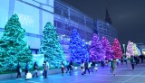 新宿テラスシティのイルミネーション、今年のテーマは「きらめくヒカリのまち」（東京・新宿／渋谷） 